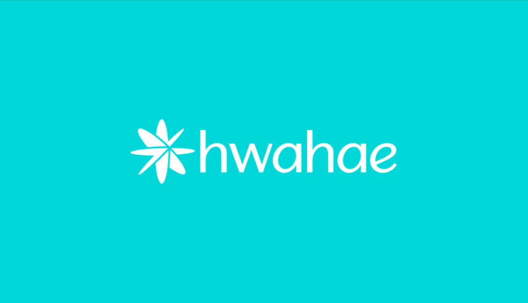 Introducing Hwahae award