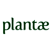 plantae