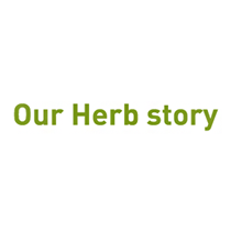 OurHerbstory