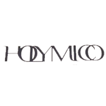 HOLYMICO