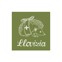 Llovizia