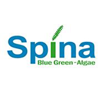 spina