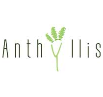 Anthyllis