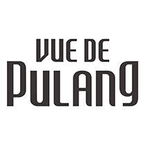 VUEDEPULANG