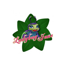 LADYBUGJANE