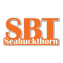 SBTSEABUCKTHORN