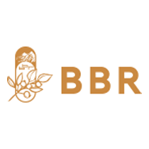 BBR