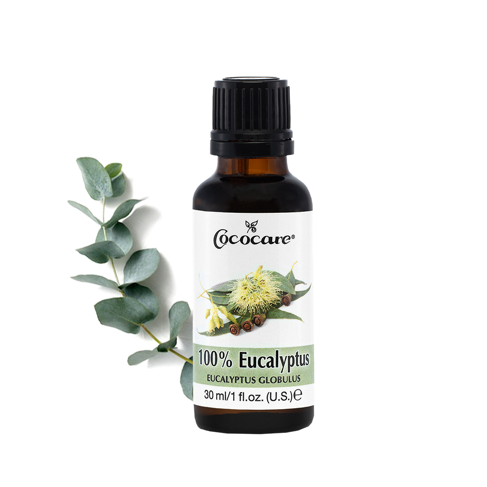 100% 尤加利精油