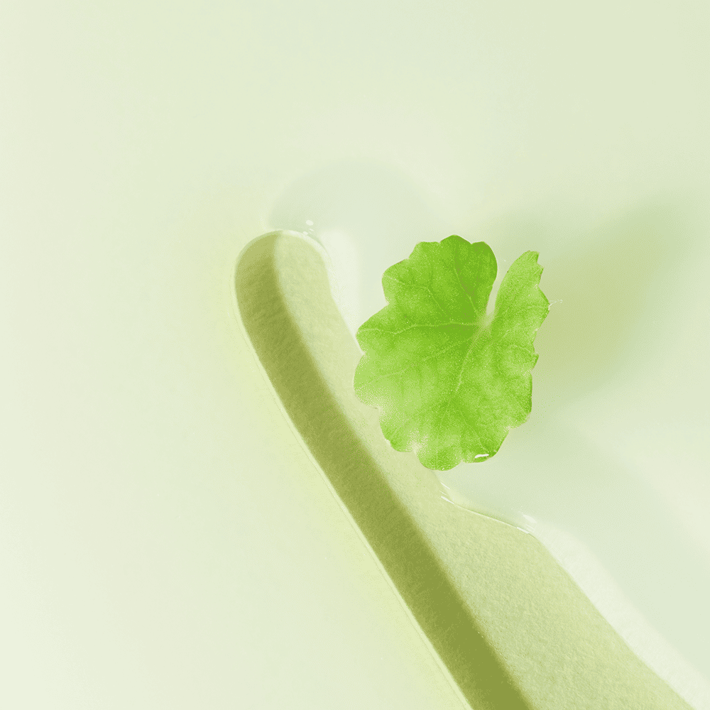 Sika Rebalancing Essence Toner