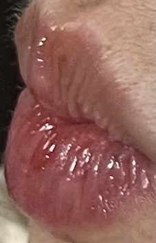 입술 발색