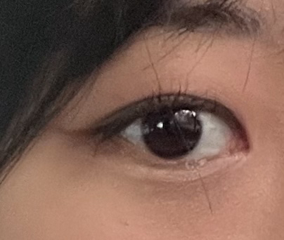 눈 발색