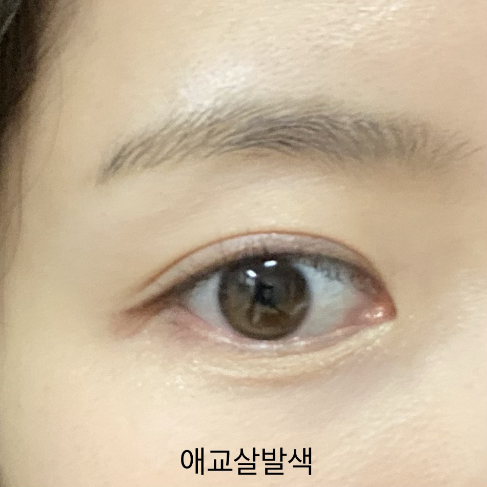 눈 발색