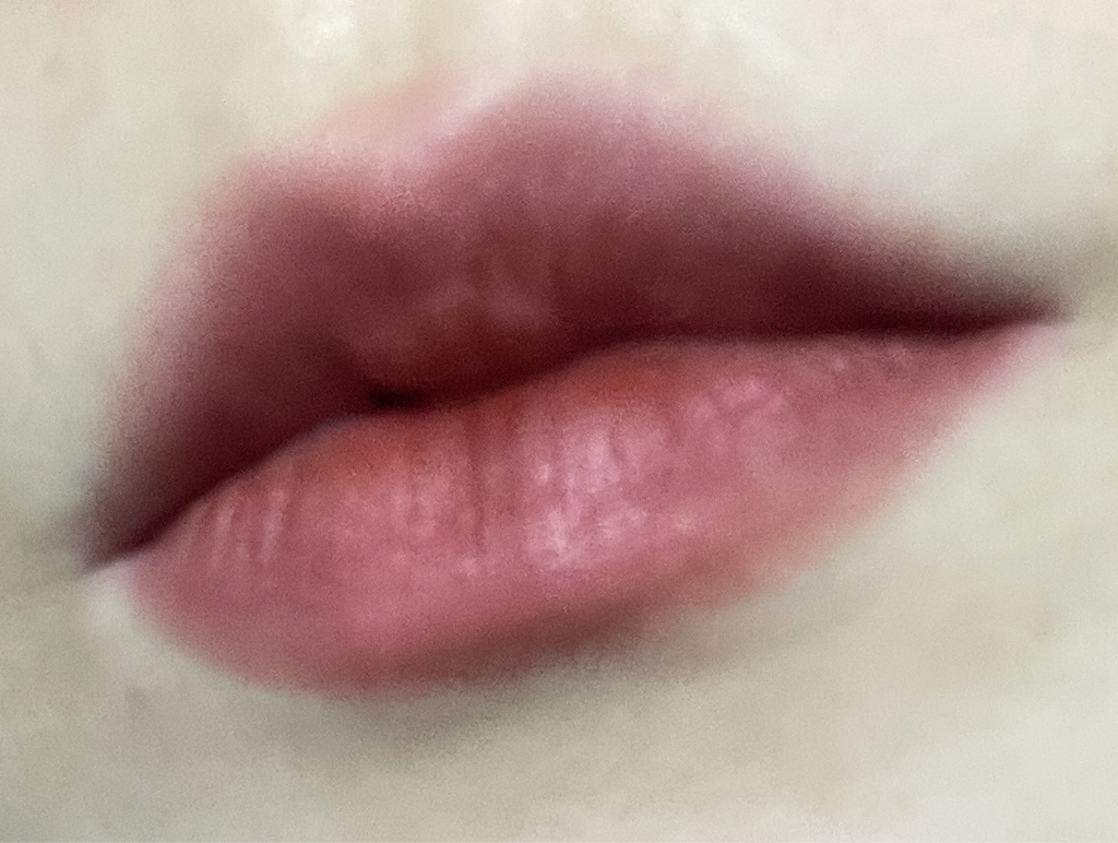 입술 발색