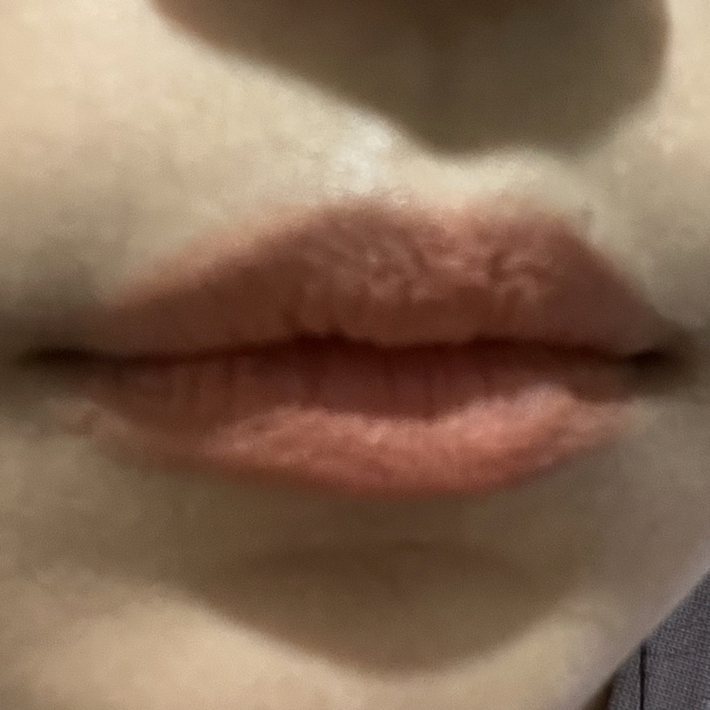 입술 발색