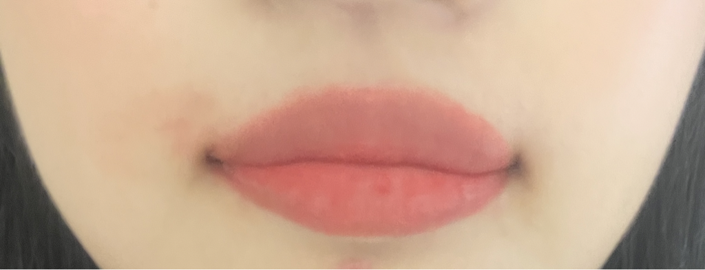 입술 발색