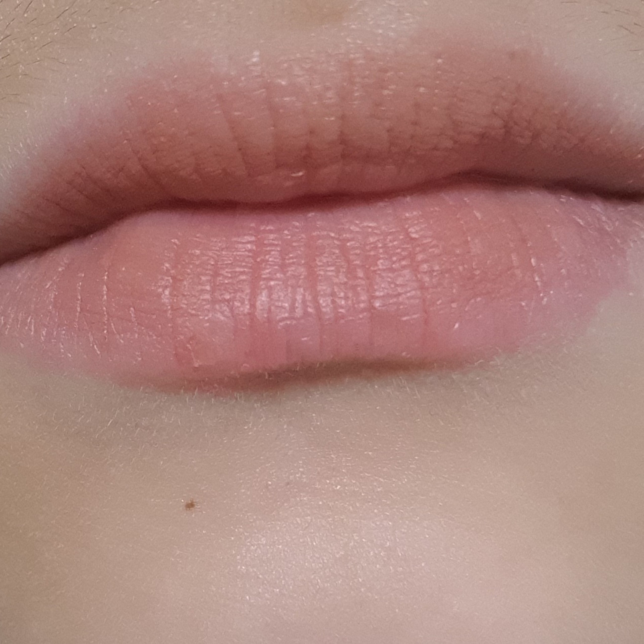 입술 발색