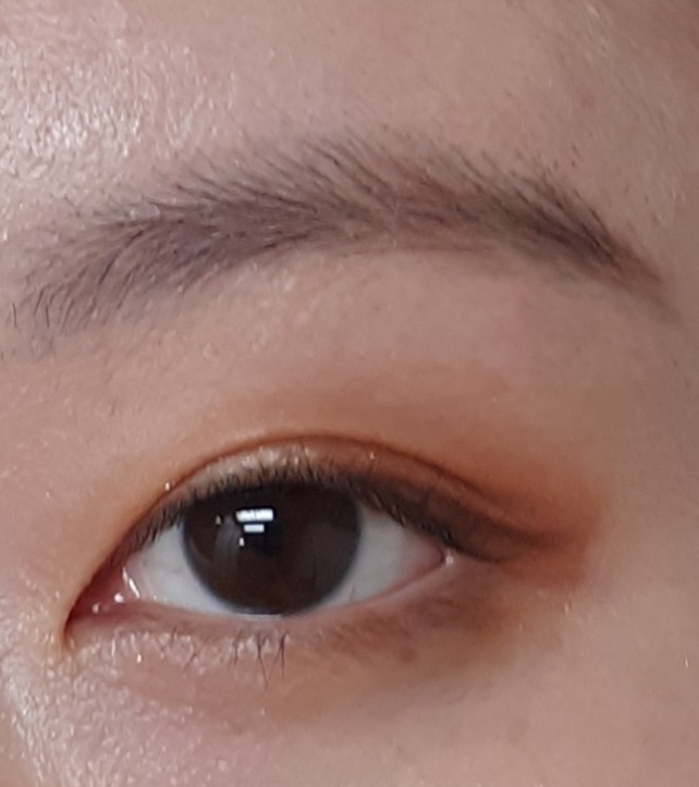 눈 발색