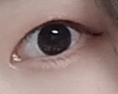 눈 발색