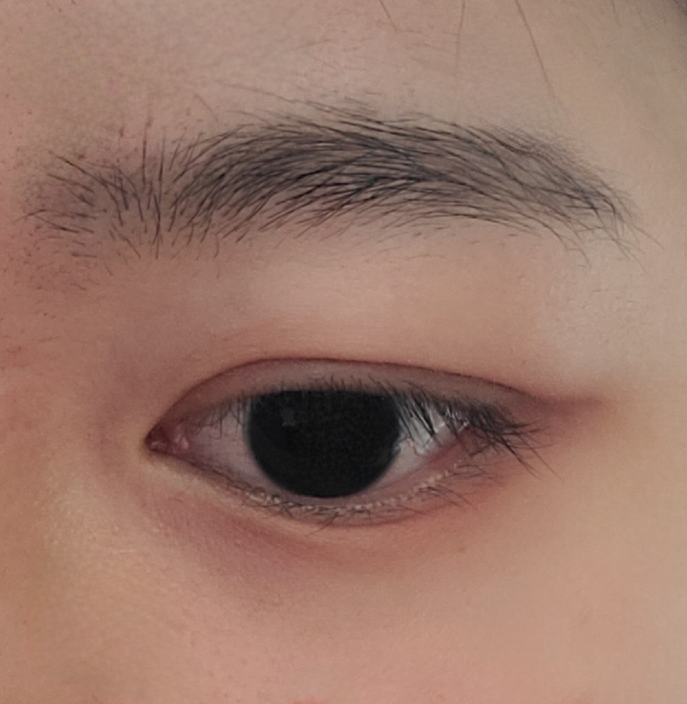 눈 발색