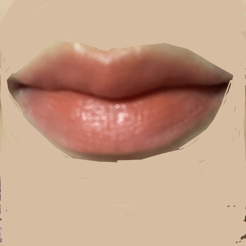 입술 발색