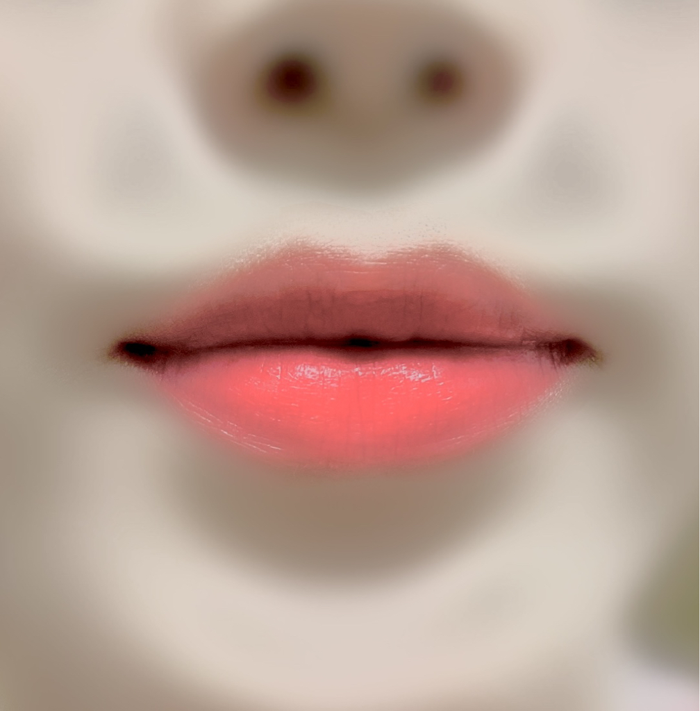 입술 발색