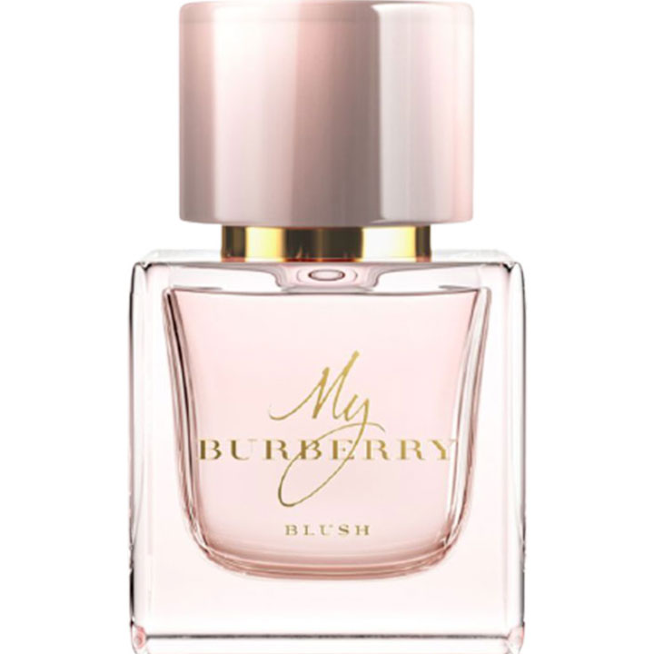 BURBERRY My Burberry Blush Eau de Parfum | Hwahae