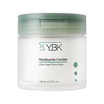 YBK 鱼腥草一步式毛孔护理垫