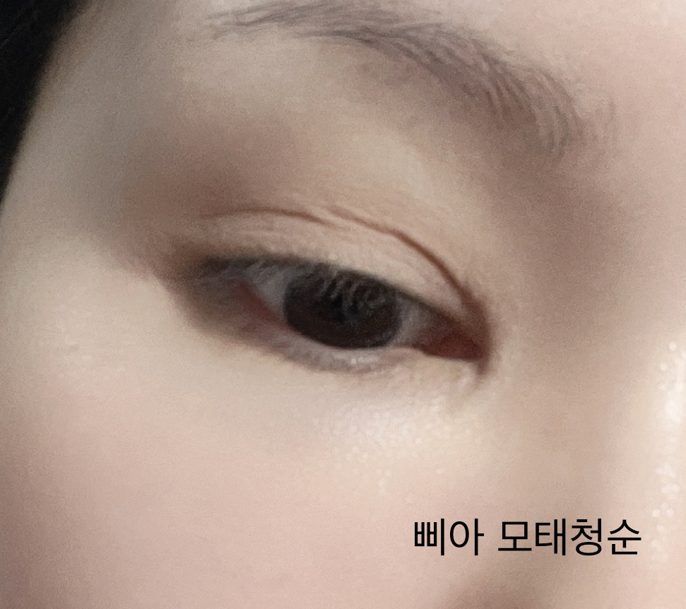 눈 발색