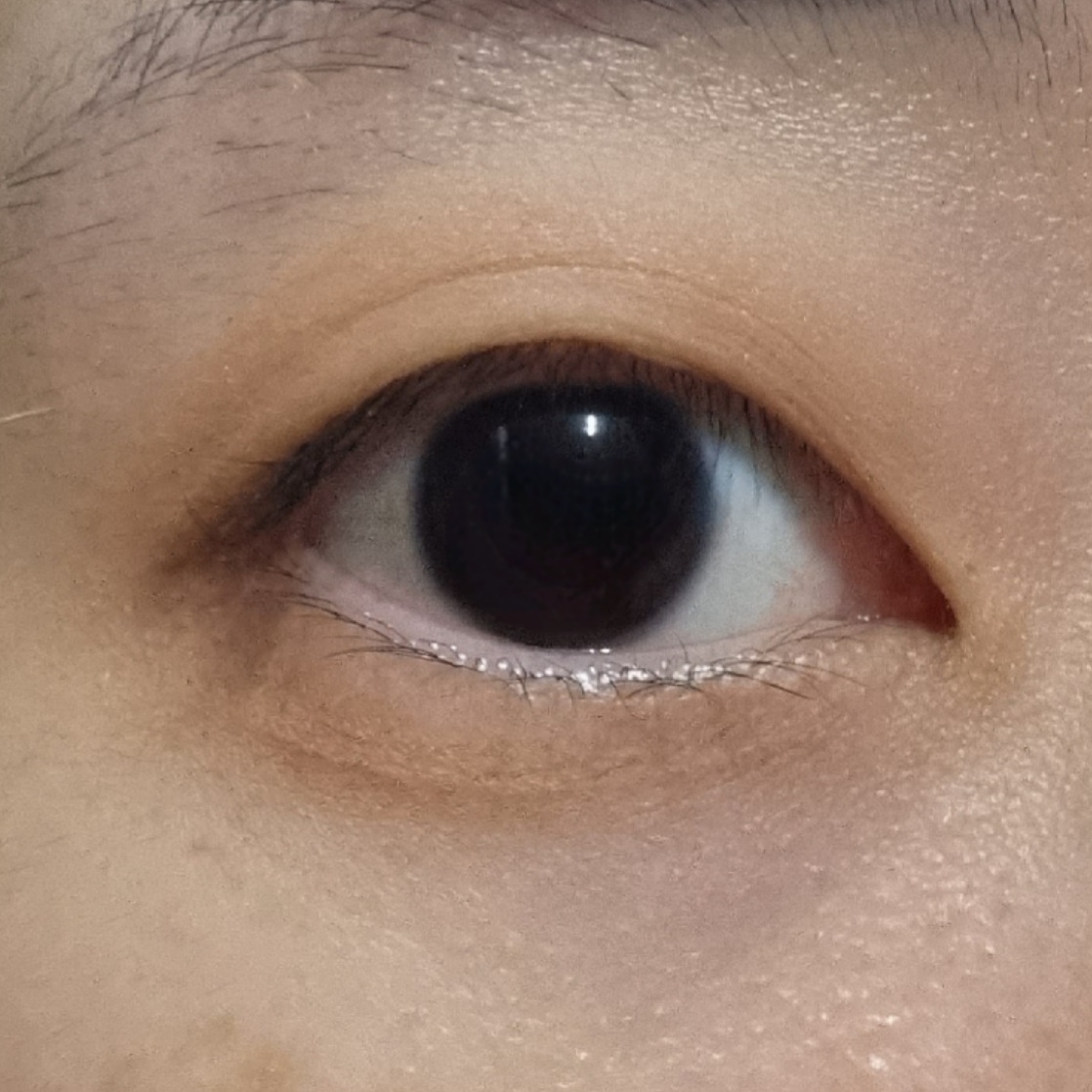 눈 발색