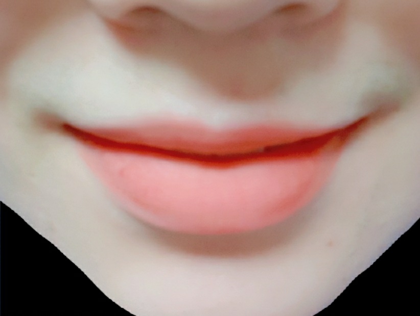 입술 발색