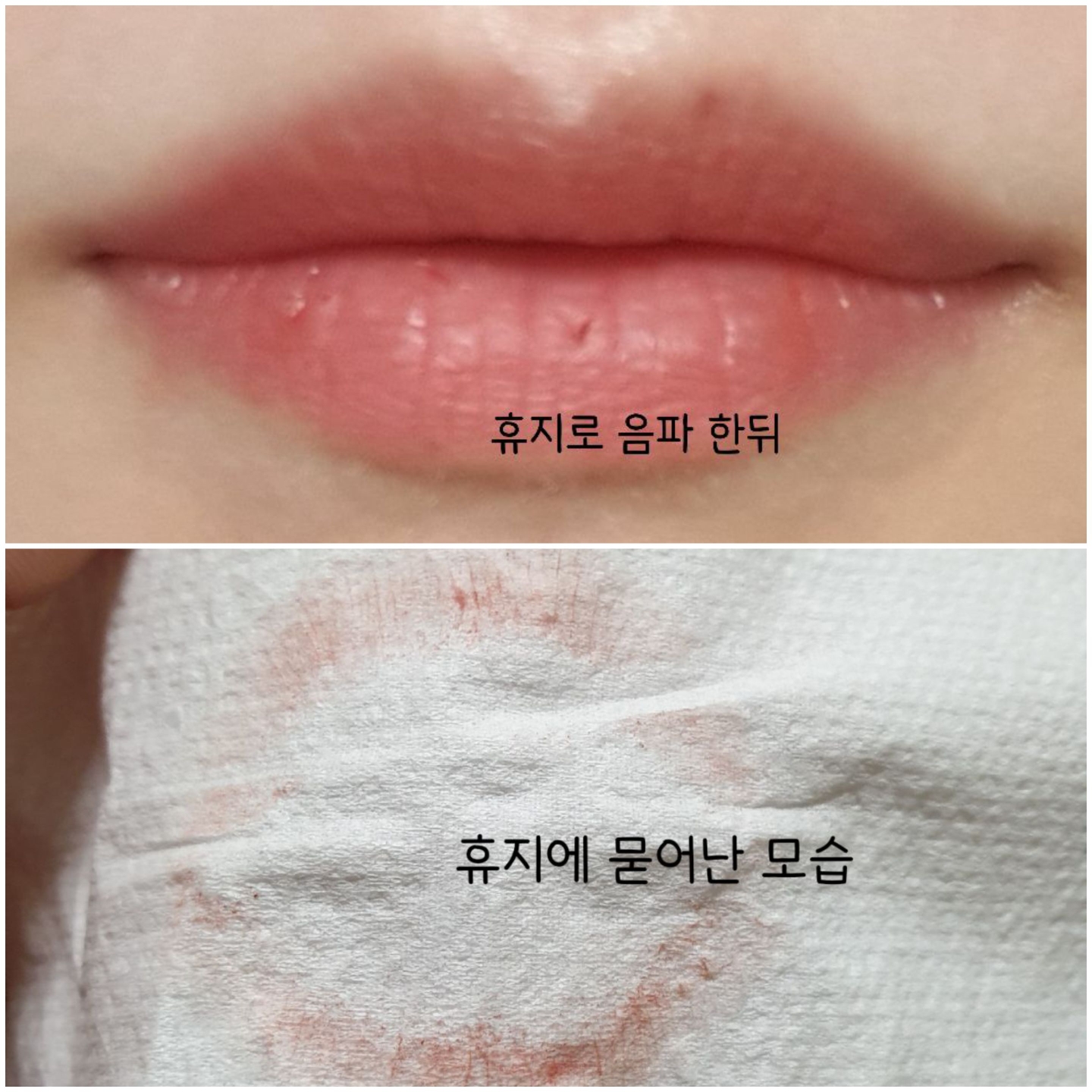 착색