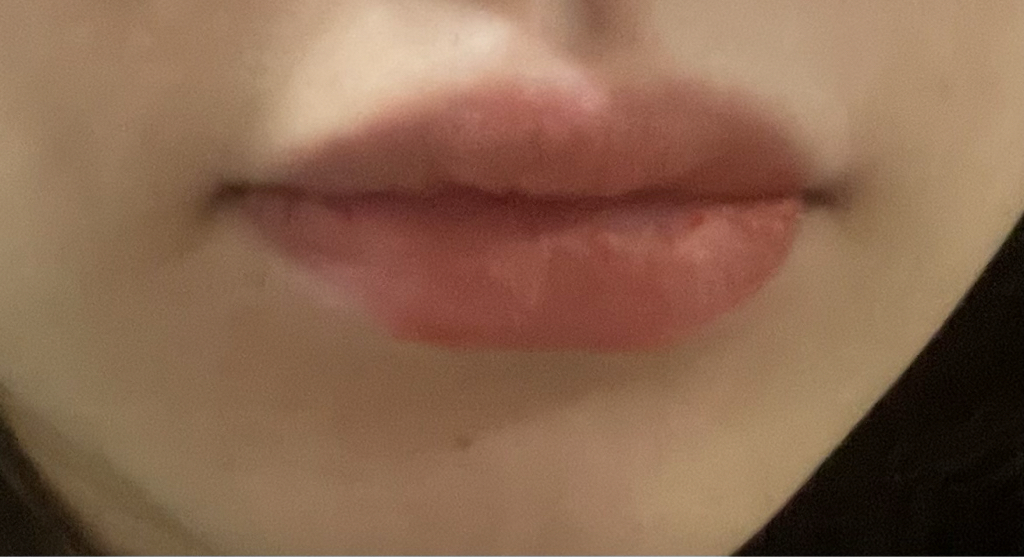 입술 발색