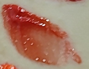 팔목 발색