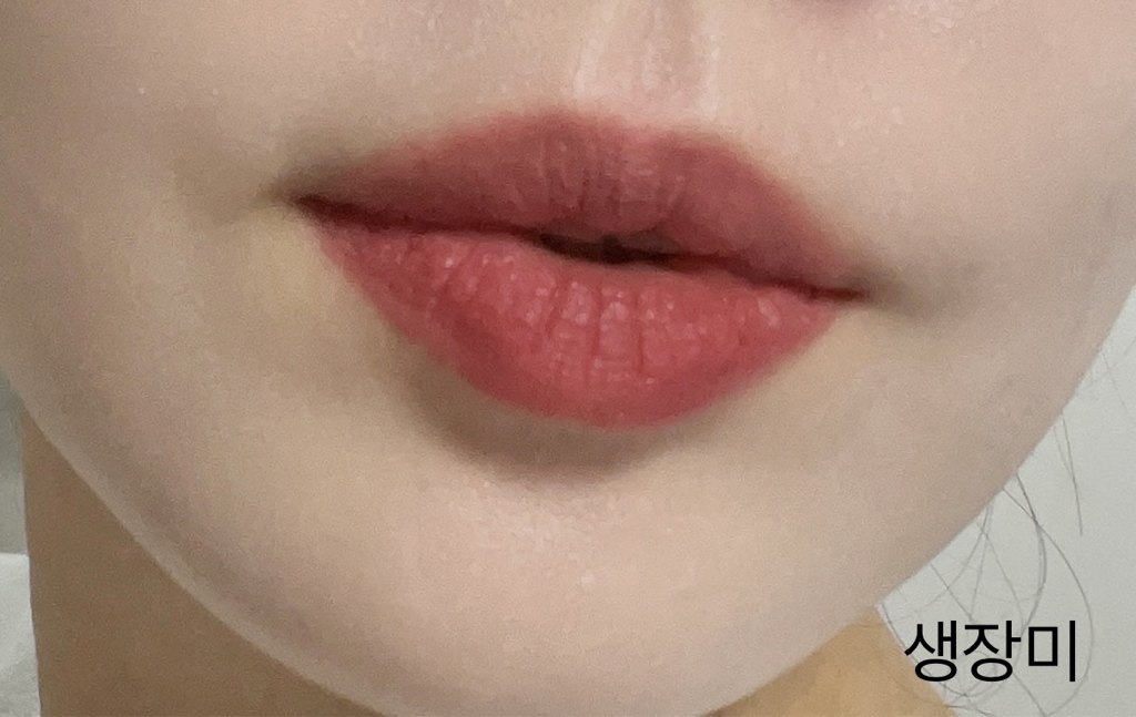 입술 발색