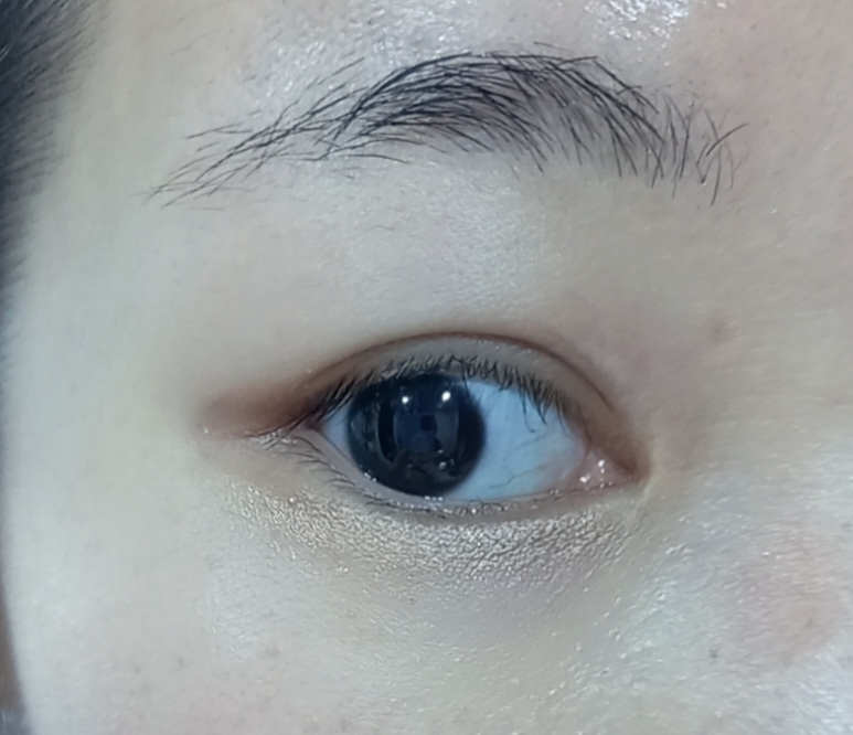 눈 발색