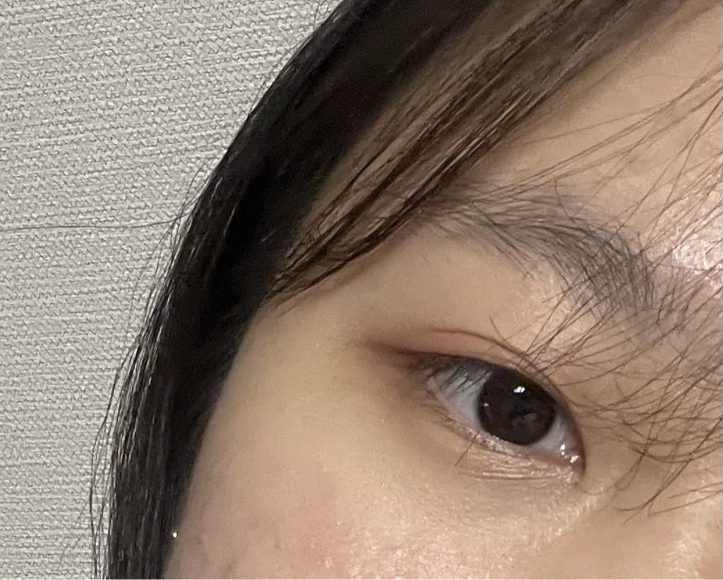 눈 발색