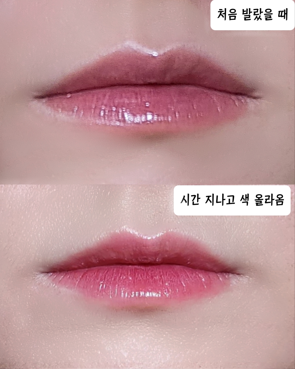 입술 발색