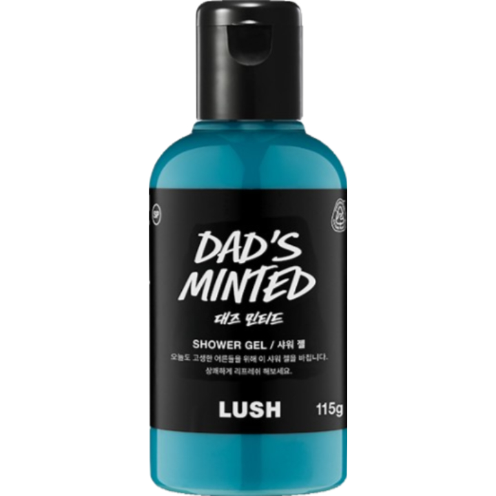 LUSH SHOWER GEL [DAD'S MINTED] | Hwahae Global