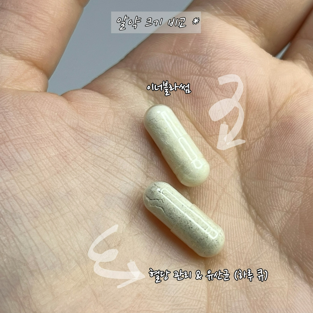 그린몬스터 (GreenMonster) 이너블라썸 review image