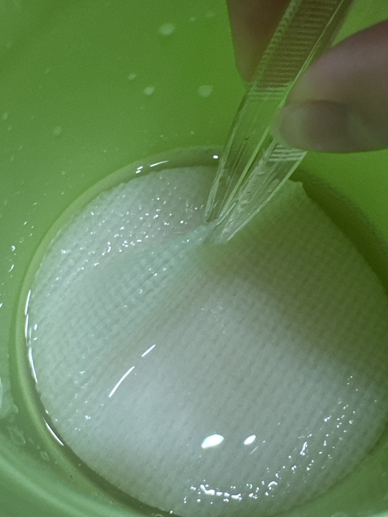 Abib Heartleaf essence pad Clear touch review image