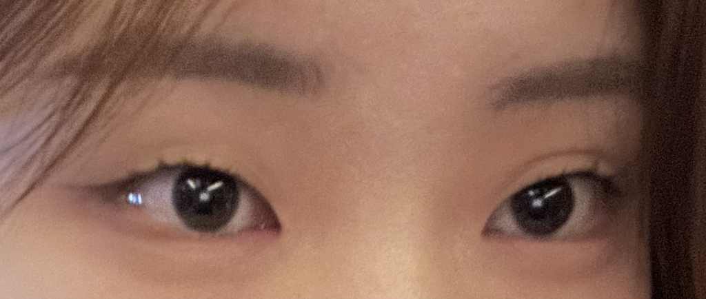 dasique 茶色混合系列眼影盘[13 凉爽混合] common.review image