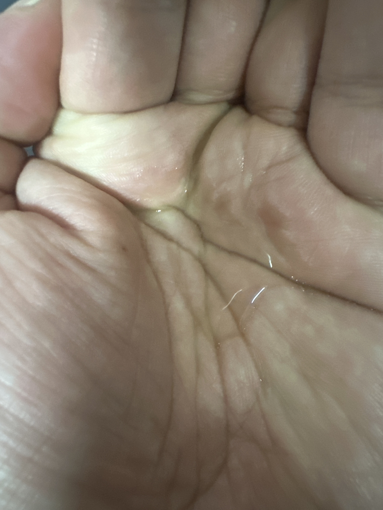 雪花秀 Bonyun Essence review image