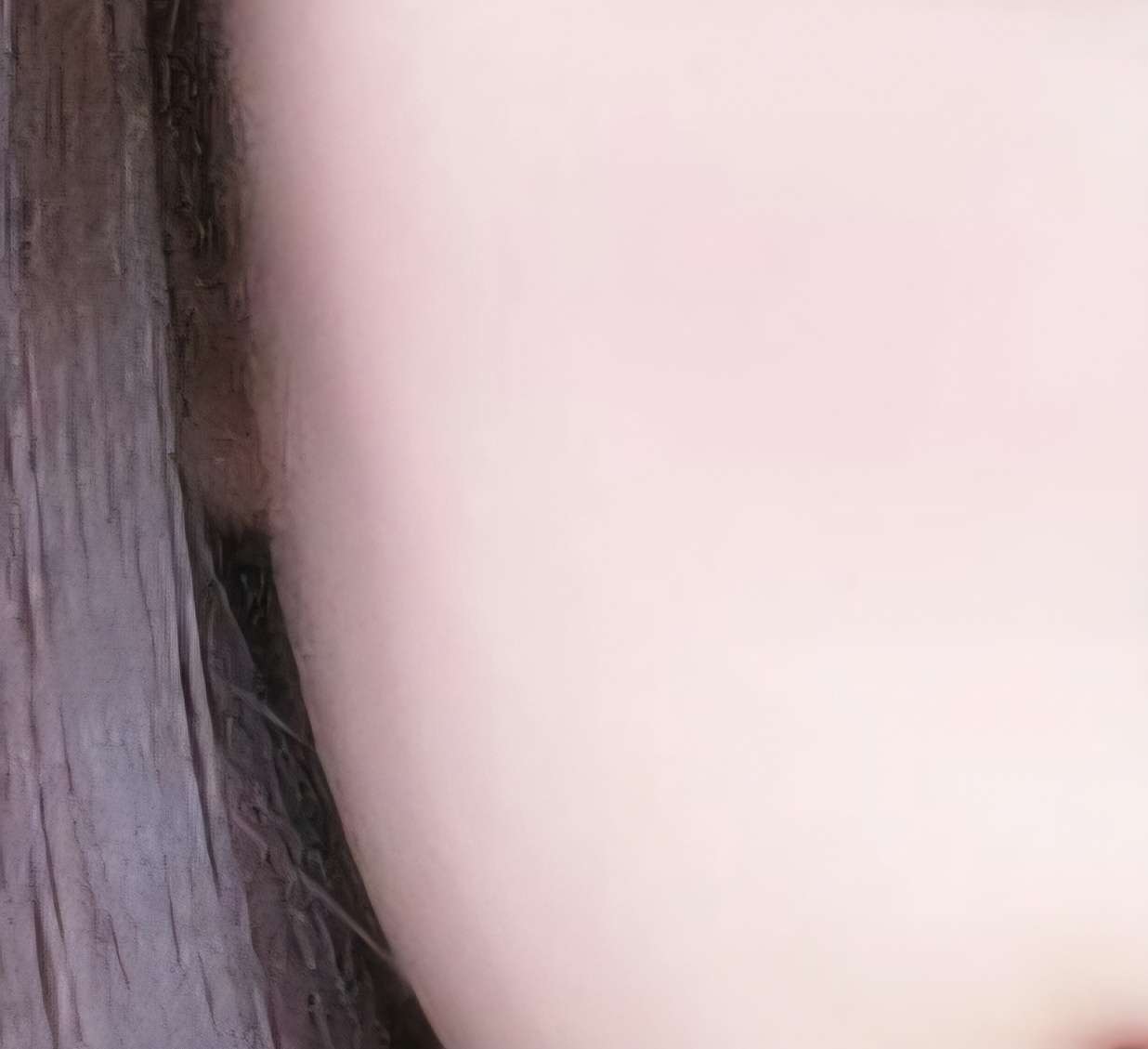 ETUDE 粉饼 common.review image