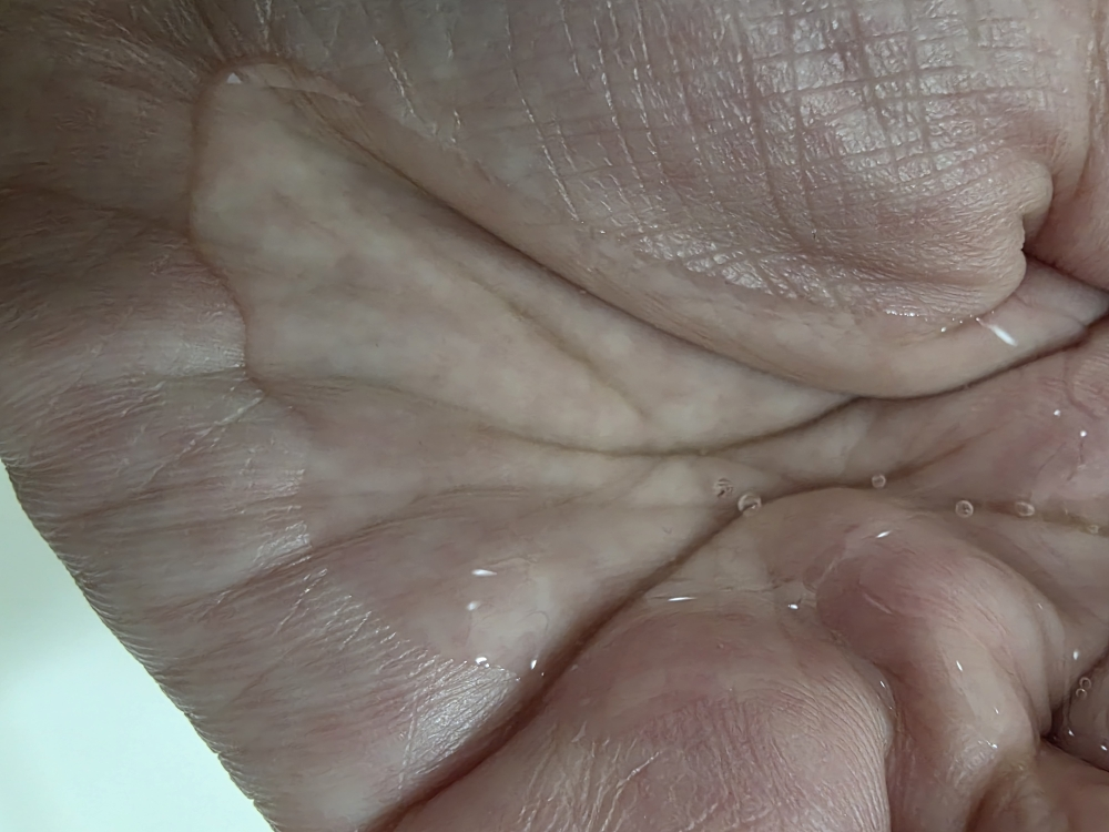 엘라스틴 (Elastine) 패밀리 두피 딥 클렌징 샴푸 review image