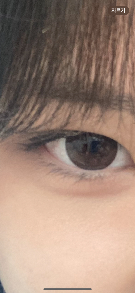 기타
