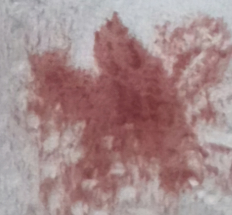 투쿨포스쿨 (toocoolforschool) 스웨이 립 벨벳 [05 로지 오트] review image