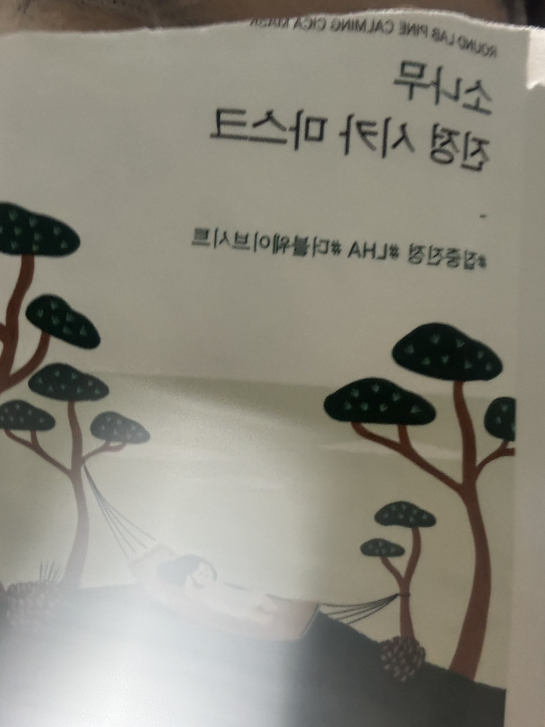 라운드랩 (ROUNDLAB) 소나무 진정 시카 마스크 review image