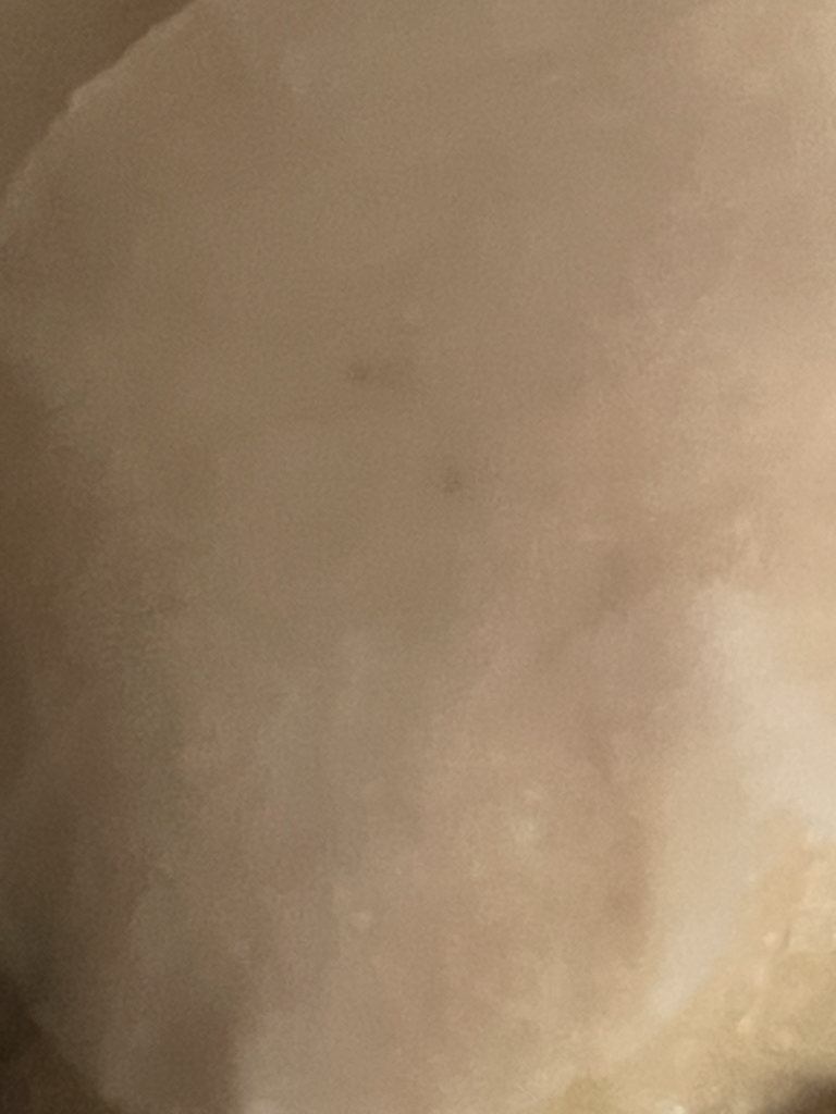 思亲肤 皮质柔软垫 common.review image