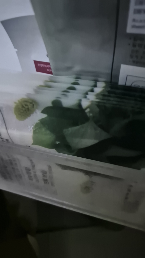 面膜[黄芩]的真实用户使用照片