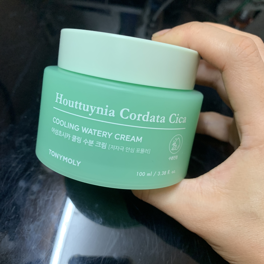 토니모리 (TONYMOLY) 어성초시카 쿨링 수분 크림 review image